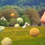 Pollen / Debunga